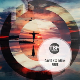 DAVID K. & LINEIN - FREE